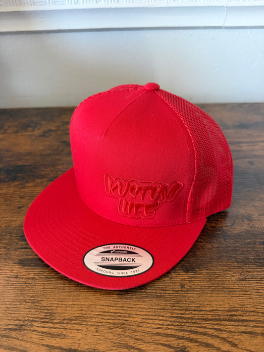 Vice Logo Mesh Snapback Hat